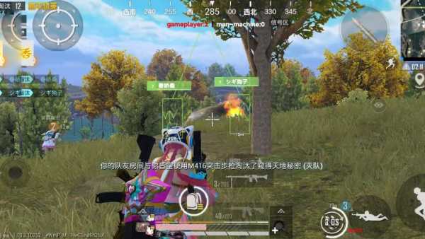 和平精英紫色的标是什么