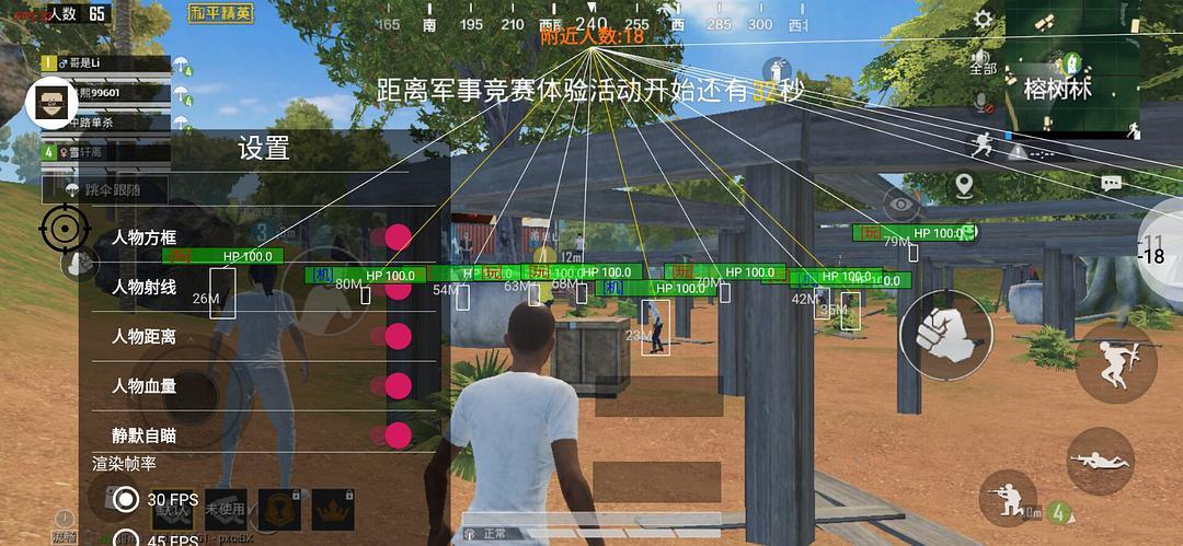 和平精英【锦鲤内核】辅助外挂