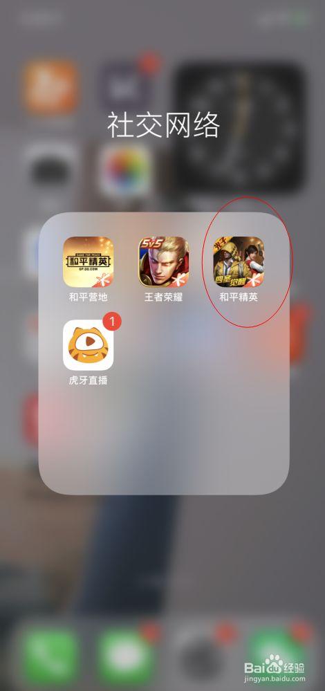 和平精英辅助软件的发展与影响分析